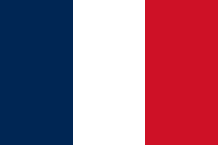 Process Server in France