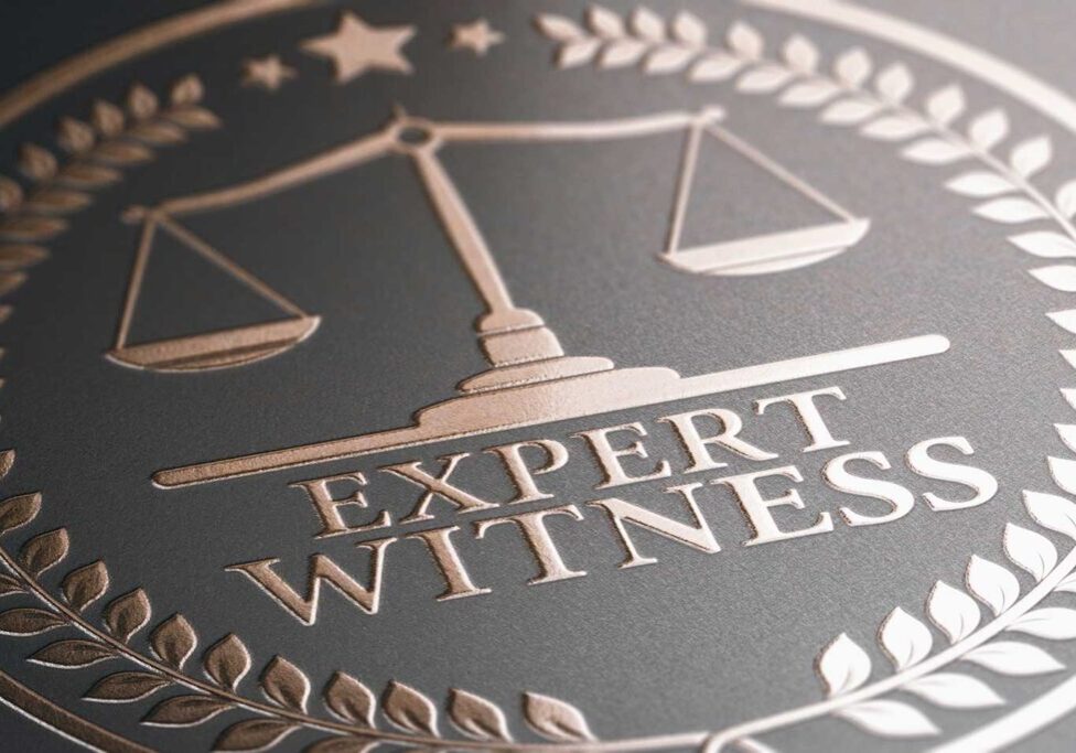 expert-witness-service Process Service Network