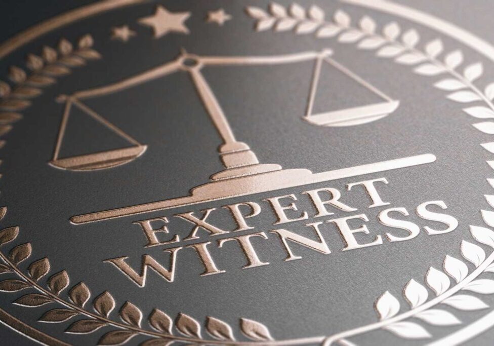 expert-witness-service